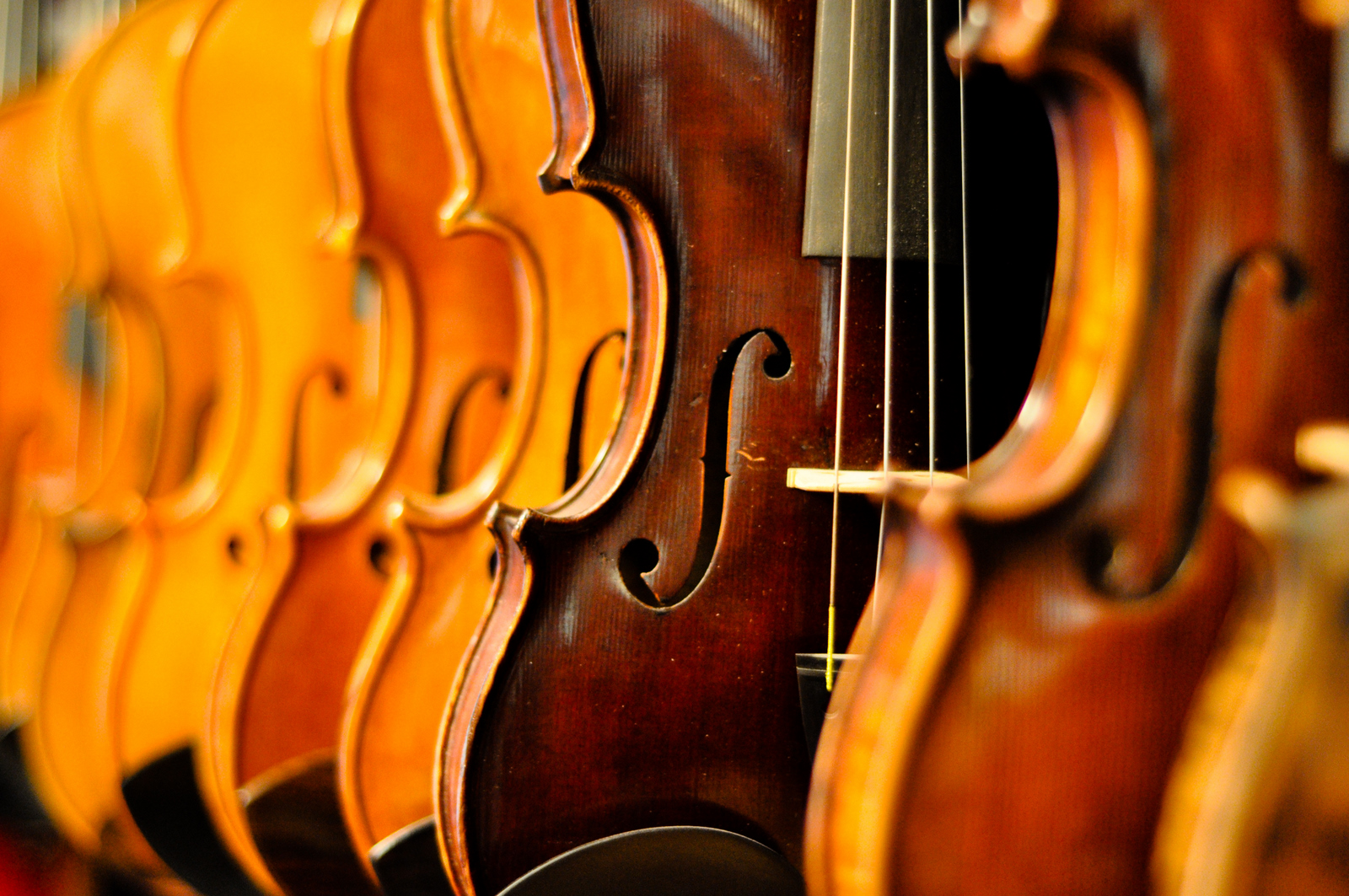 Somerset Violins - Handcrafted Violins Collection